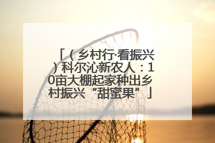 （乡村行·看振兴）科尔沁新农人：10亩大棚起家种出乡村振兴“甜蜜果”