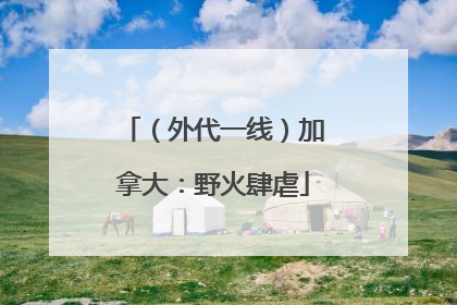 （外代一线）加拿大：野火肆虐