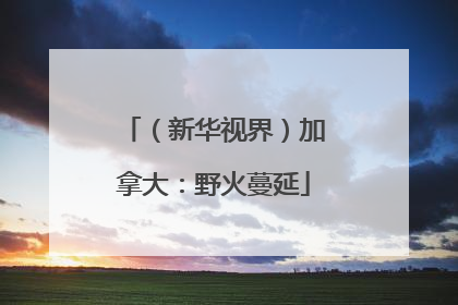 （新华视界）加拿大：野火蔓延