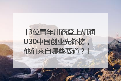 3位青年川商登上胡润U30中国创业先锋榜，他们来自哪些赛道？