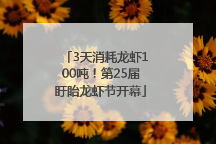3天消耗龙虾100吨！第25届盱眙龙虾节开幕