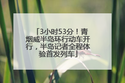 3小时53分！青烟威半岛环行动车开行，半岛记者全程体验首发列车