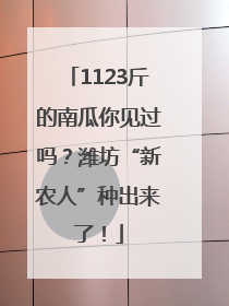 1123斤的南瓜你见过吗？潍坊“新农人”种出来了！