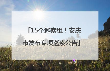 15个巡察组！安庆市发布专项巡察公告