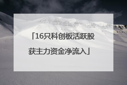 16只科创板活跃股获主力资金净流入
