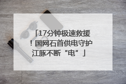17分钟极速救援！国网石首供电守护江豚不断“电”