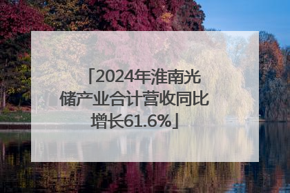 2024年淮南光储产业合计营收同比增长61.6%