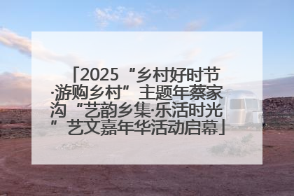 2025“乡村好时节·游购乡村”主题年蔡家沟“艺韵乡集·乐活时光”艺文嘉年华活动启幕