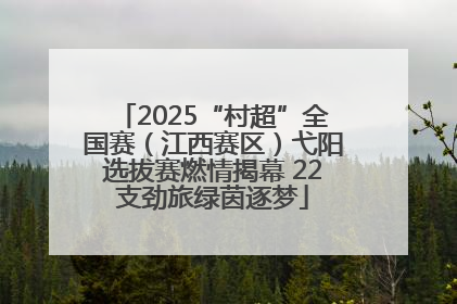 2025“村超”全国赛（江西赛区）弋阳选拔赛燃情揭幕 22支劲旅绿茵逐梦