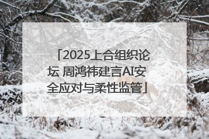 2025上合组织论坛 周鸿祎建言AI安全应对与柔性监管