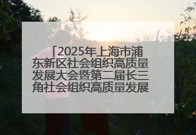 2025年上海市浦东新区社会组织高质量发展大会暨第二届长三角社会组织高质量发展峰会成功举办
