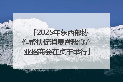 2025年东西部协作帮扶促消费暨糯食产业招商会在贞丰举行