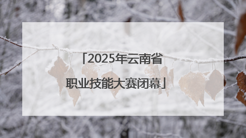 2025年云南省职业技能大赛闭幕