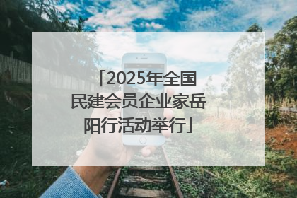 2025年全国民建会员企业家岳阳行活动举行