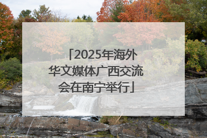 2025年海外华文媒体广西交流会在南宁举行