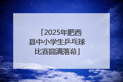 2025年肥西县中小学生乒乓球比赛圆满落幕