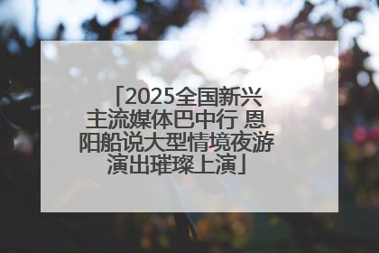 2025全国新兴主流媒体巴中行 恩阳船说大型情境夜游演出璀璨上演