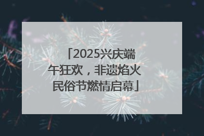 2025兴庆端午狂欢，非遗焰火民俗节燃情启幕