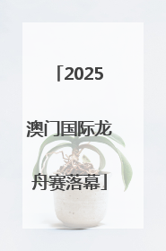 2025澳门国际龙舟赛落幕