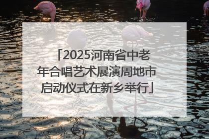 2025河南省中老年合唱艺术展演周地市启动仪式在新乡举行
