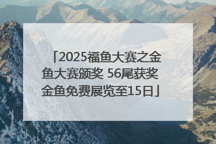 2025福鱼大赛之金鱼大赛颁奖 56尾获奖金鱼免费展览至15日