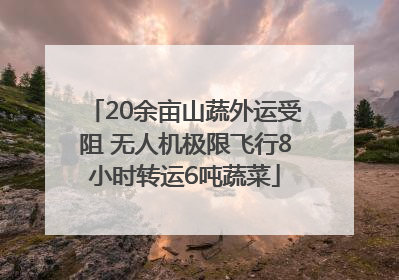 20余亩山蔬外运受阻 无人机极限飞行8小时转运6吨蔬菜