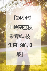 24小时！岭南荔枝乘专线 枝头直飞新加坡