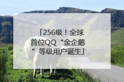 256级！全球首位QQ“金企鹅”等级用户诞生