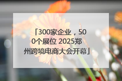 300家企业，500个展位 2025郑州跨境电商大会开幕