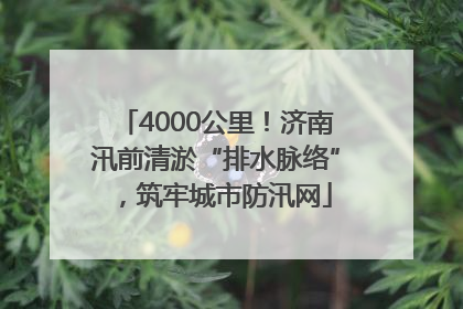 4000公里！济南汛前清淤“排水脉络”，筑牢城市防汛网