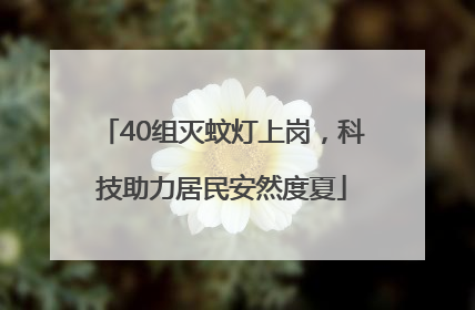 40组灭蚊灯上岗，科技助力居民安然度夏