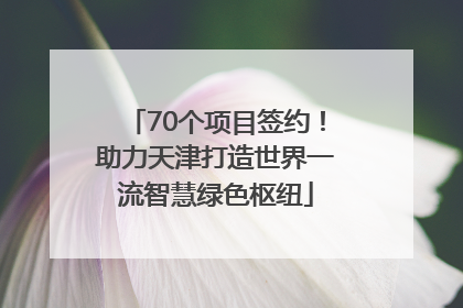 70个项目签约！助力天津打造世界一流智慧绿色枢纽