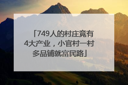 749人的村庄竟有4大产业，小官村一村多品铺就富民路