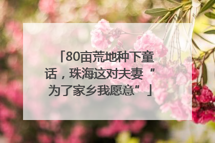 80亩荒地种下童话，珠海这对夫妻“为了家乡我愿意”