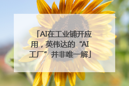 AI在工业铺开应用，英伟达的“AI工厂”并非唯一解