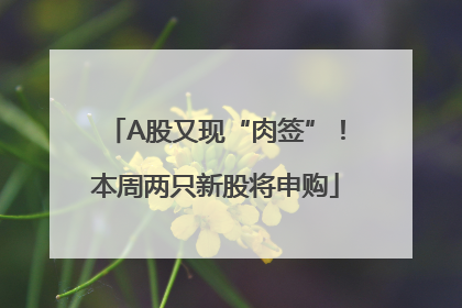 A股又现“肉签”！本周两只新股将申购