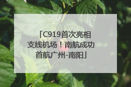C919首次亮相支线机场！南航成功首航广州-南阳