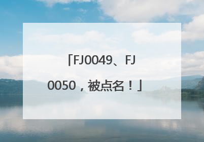 FJ0049、FJ0050，被点名！