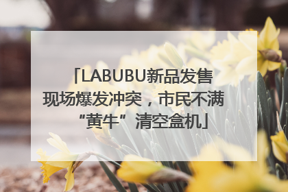 LABUBU新品发售现场爆发冲突，市民不满“黄牛”清空盒机