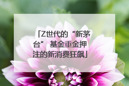 Z世代的“新茅台” 基金重金押注的新消费狂飙